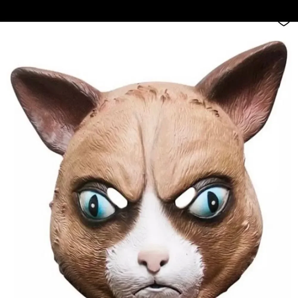 Cattitude mask Angry Cat Grumpy face